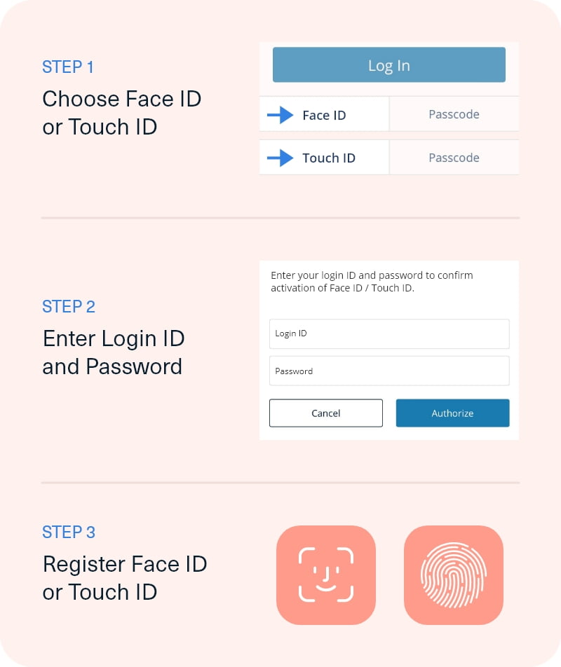 Face Id / Touch ID Reset Steps