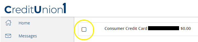 credit card name and checkbox
