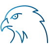 Eagle Head Icon