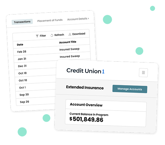 Extended Insurance Account