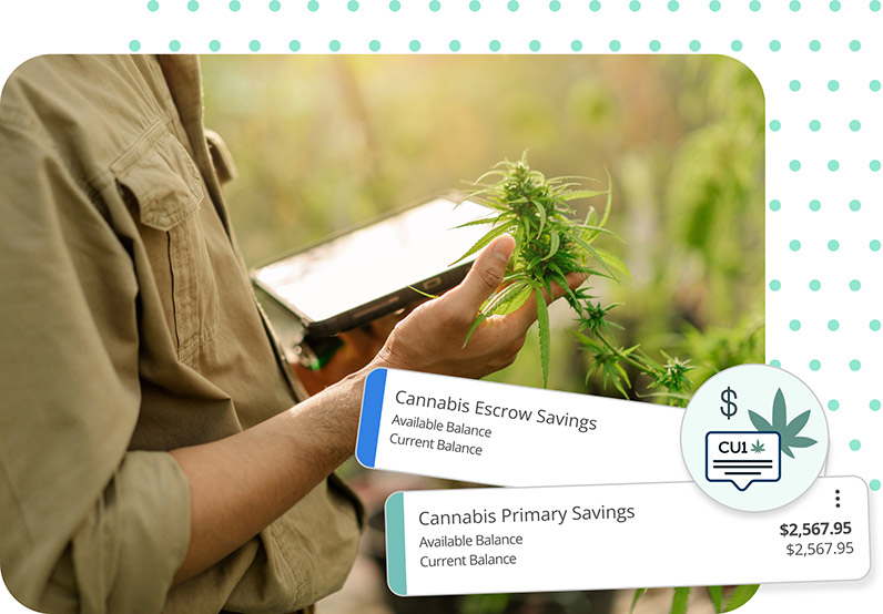 Cannabis Savings