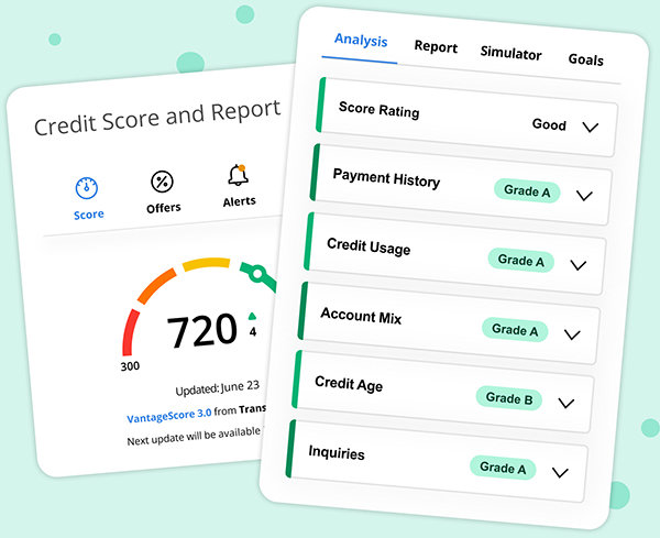Credit Score and Report