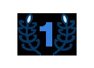 1 icon
